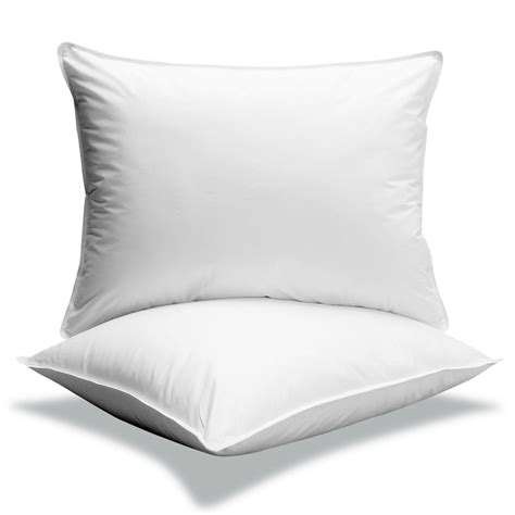 [ALMOHADA STD] ALMOHADA STANDARD 20X26 CX1